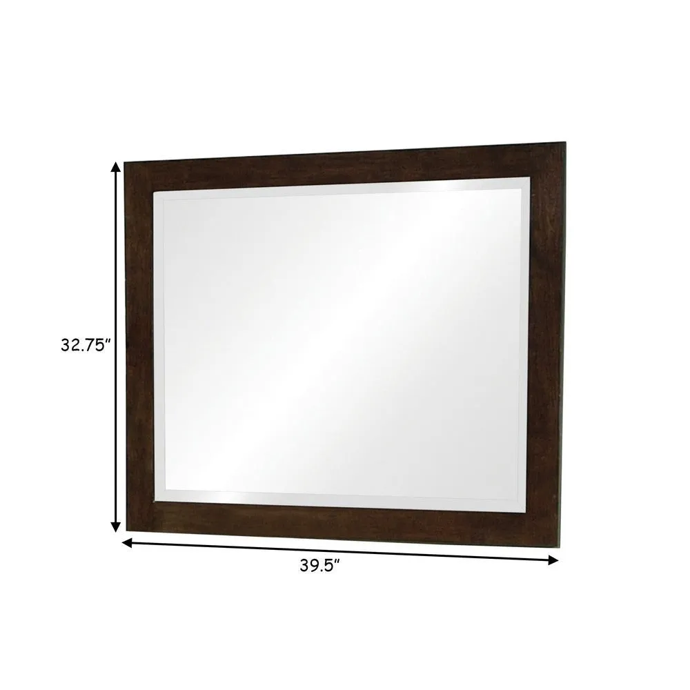 40 Inch Solid Wood Modern Mirror, Portrait, Framed, Cappuccino Brown By Casagear Home