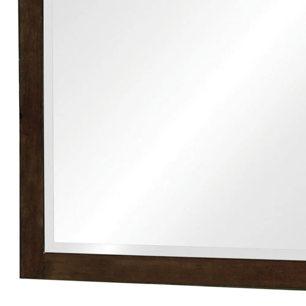40 Inch Solid Wood Modern Mirror, Portrait, Framed, Cappuccino Brown By Casagear Home