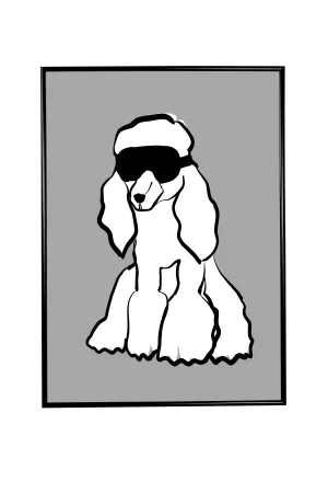A dog went skiing
