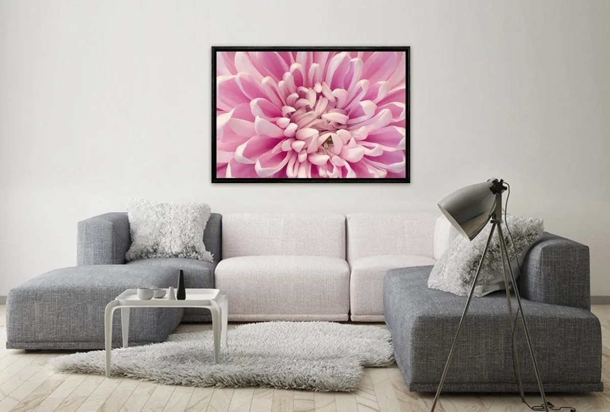 A Pink Bloom | Flower Wall Art Print