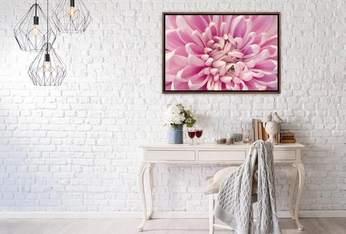 A Pink Bloom | Flower Wall Art Print