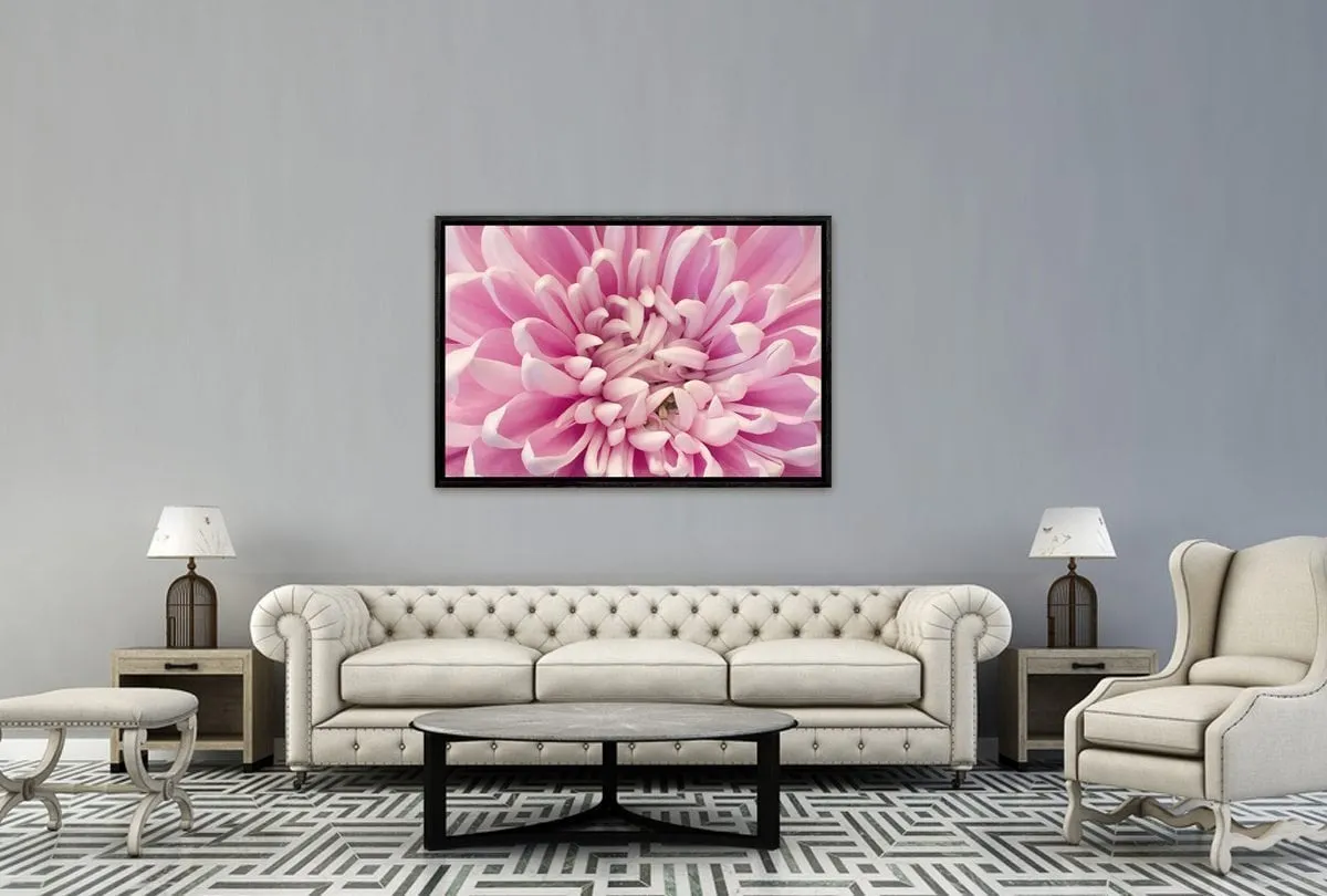 A Pink Bloom | Flower Wall Art Print