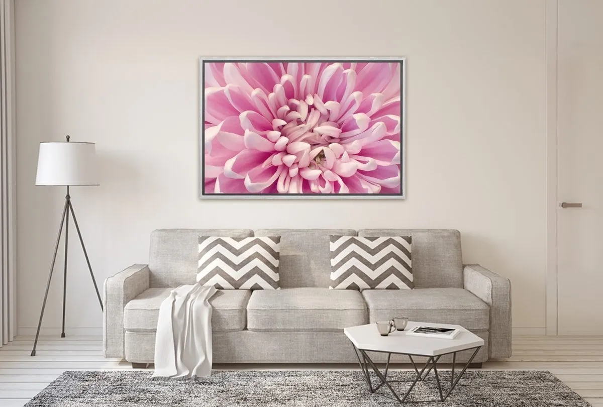 A Pink Bloom | Flower Wall Art Print