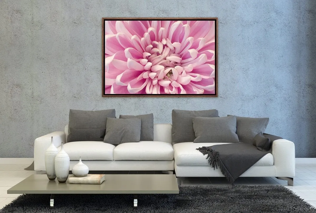 A Pink Bloom | Flower Wall Art Print