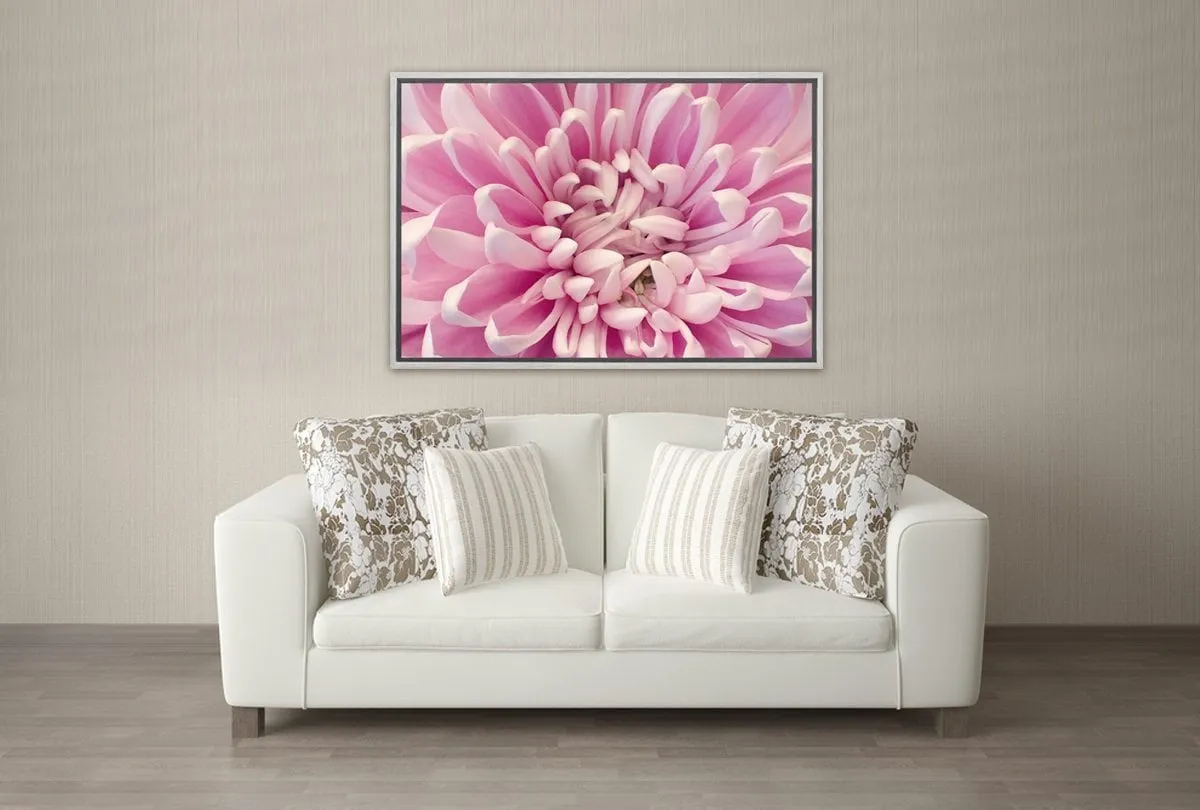 A Pink Bloom | Flower Wall Art Print