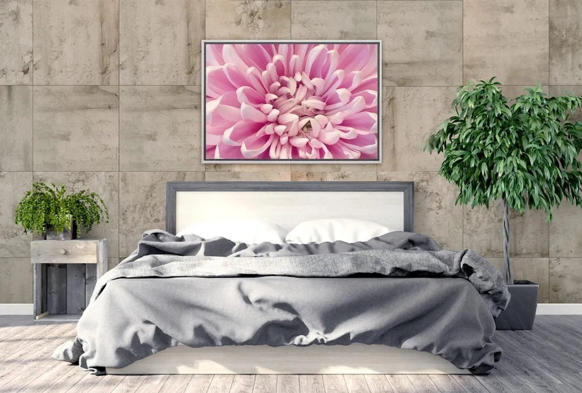 A Pink Bloom | Flower Wall Art Print