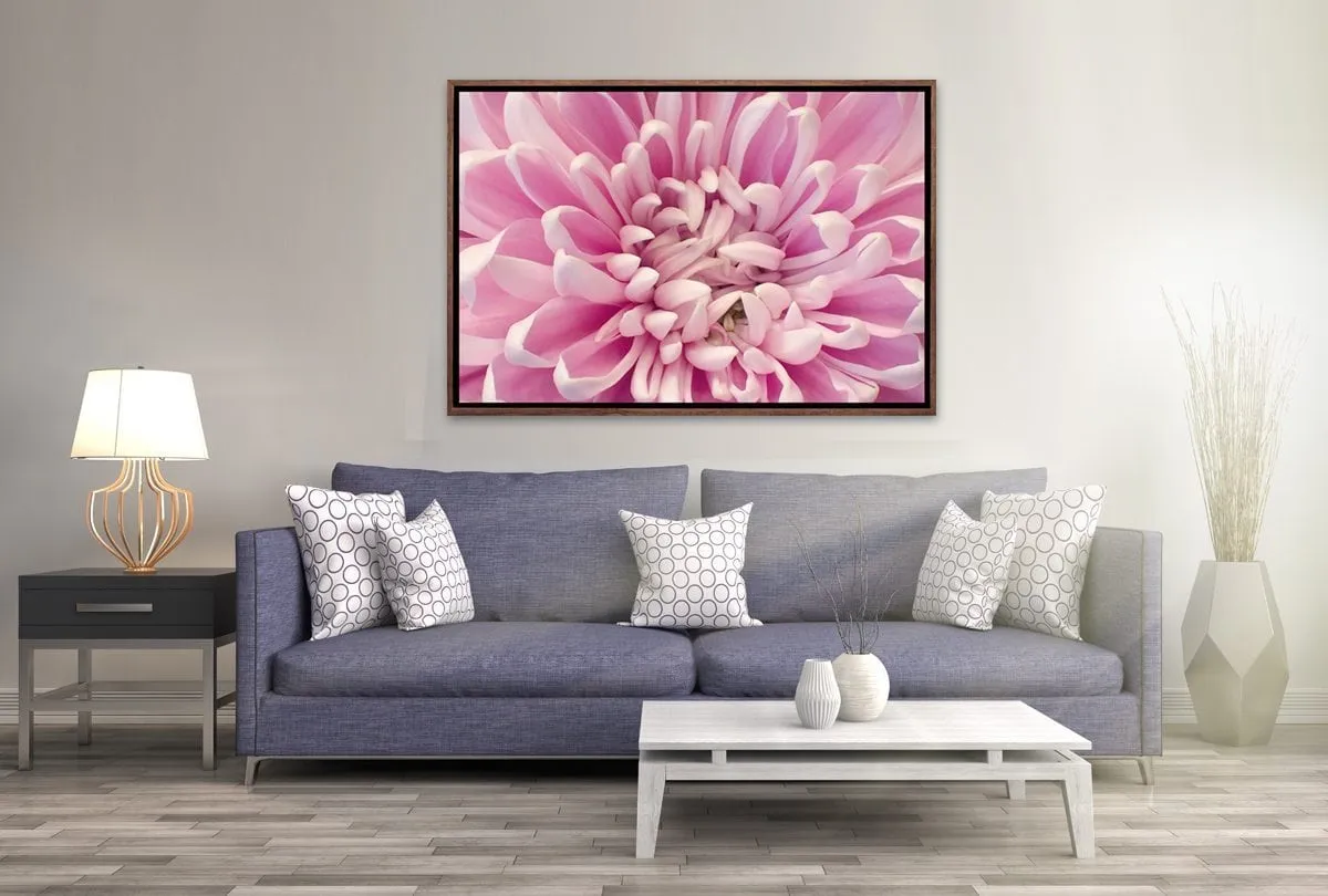A Pink Bloom | Flower Wall Art Print