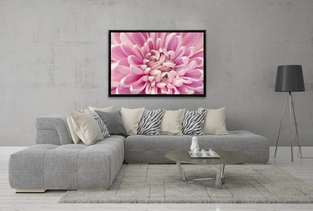 A Pink Bloom | Flower Wall Art Print