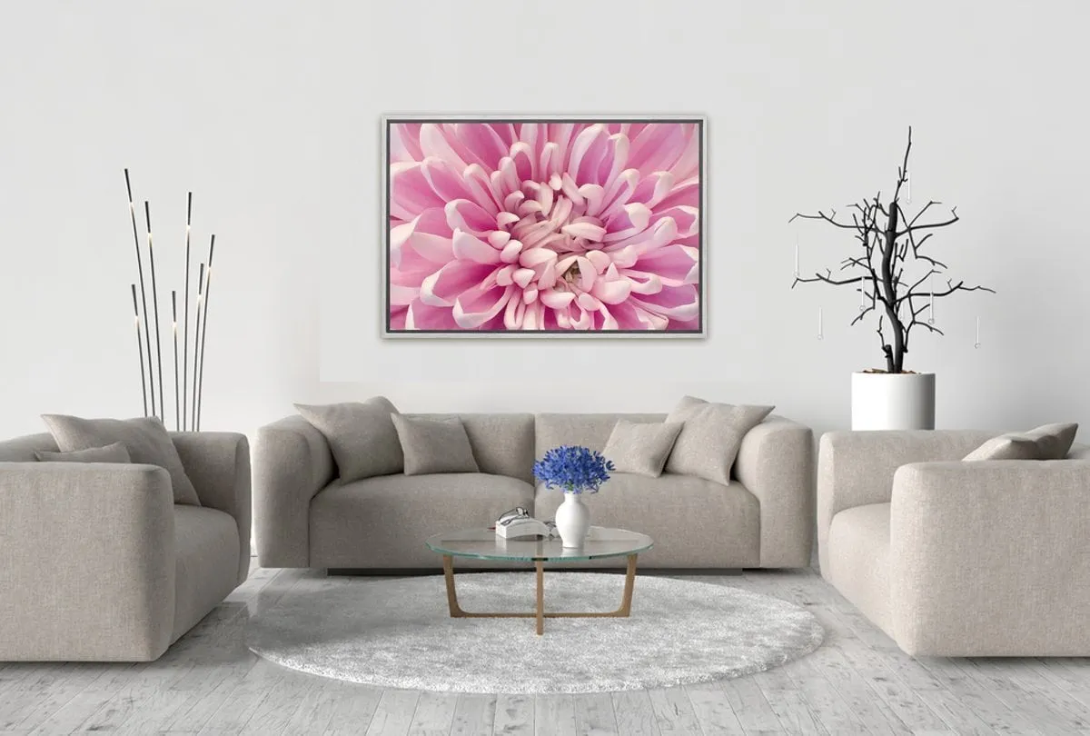 A Pink Bloom | Flower Wall Art Print