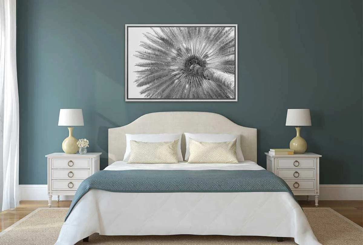 B&W Palm from Below | Canvas Wall Art Print