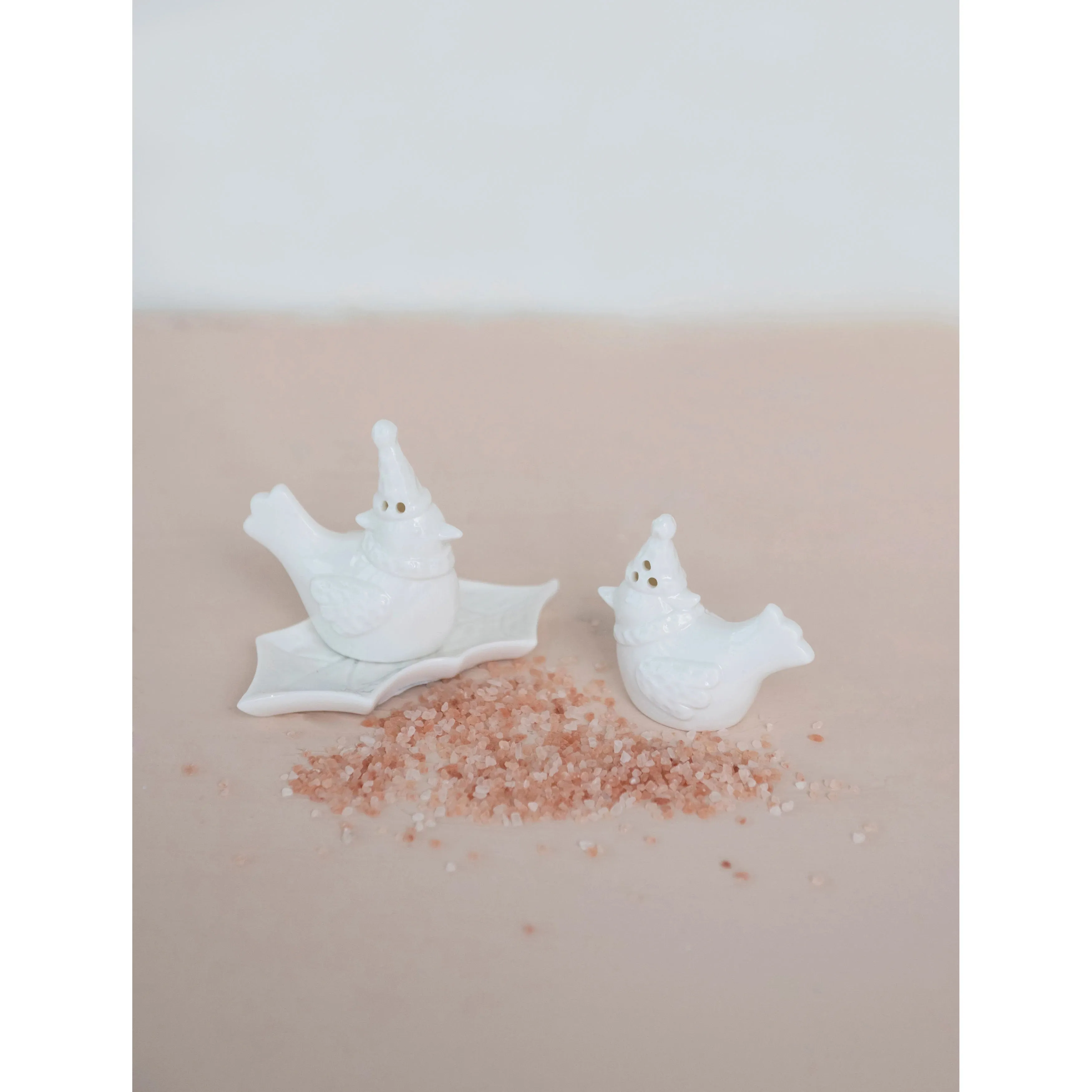 BIRD SALT AND PEPPER SHAKERS WITH DISH