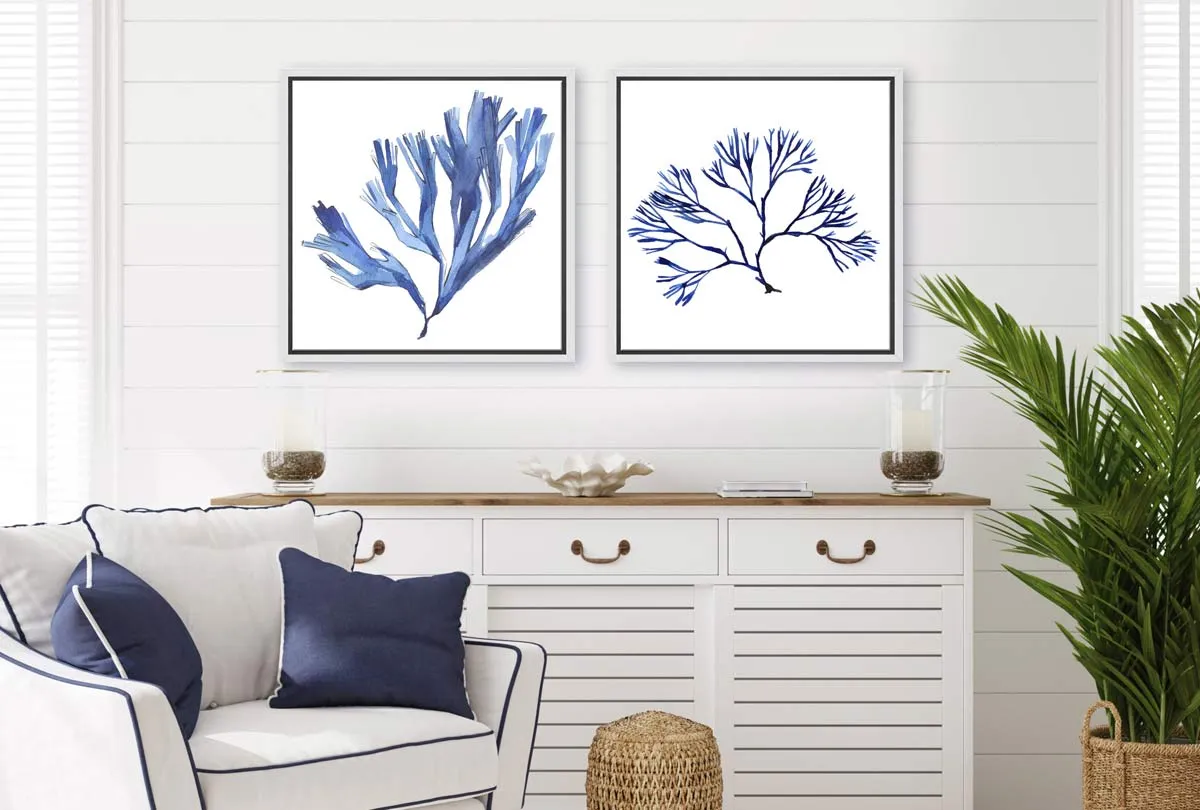 Blue Seaweed | Hamptons Canvas Wall Art Print