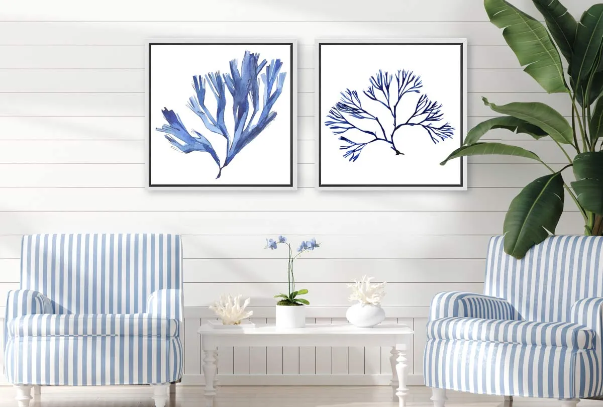 Blue Seaweed | Hamptons Canvas Wall Art Print