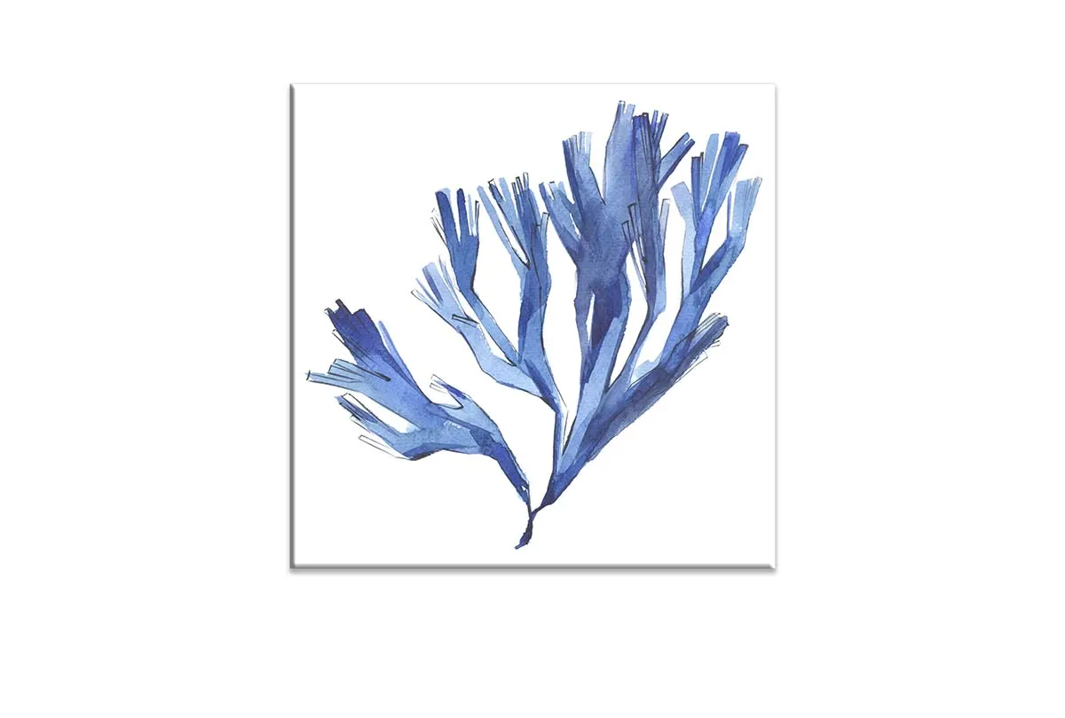 Blue Seaweed | Hamptons Canvas Wall Art Print