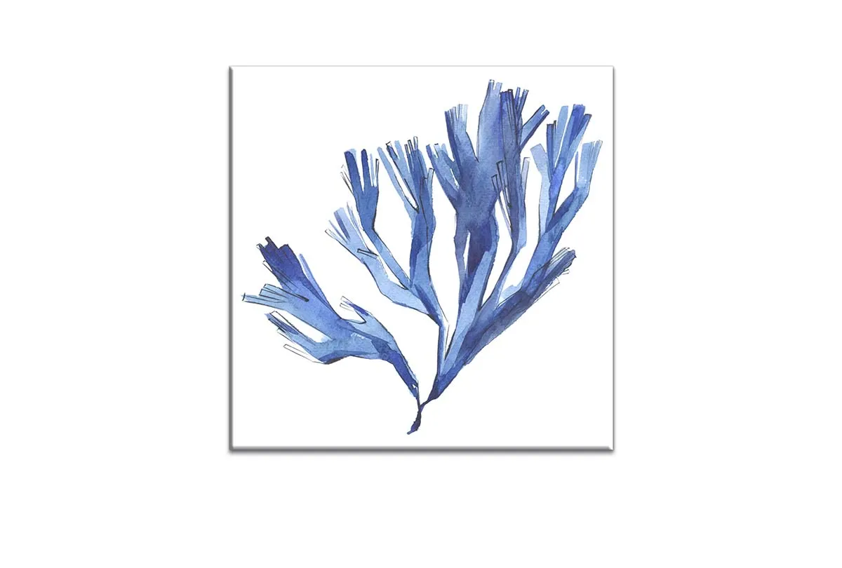 Blue Seaweed | Hamptons Canvas Wall Art Print
