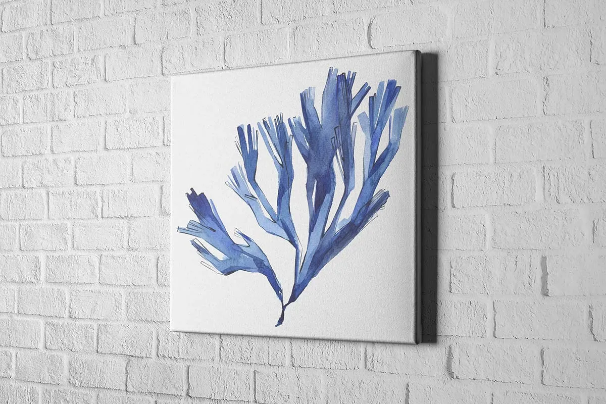 Blue Seaweed | Hamptons Canvas Wall Art Print
