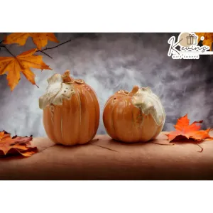 Ceramic Autumn Harvest Pumpkins Salt and Pepper Shakers Thanksgiving Gift