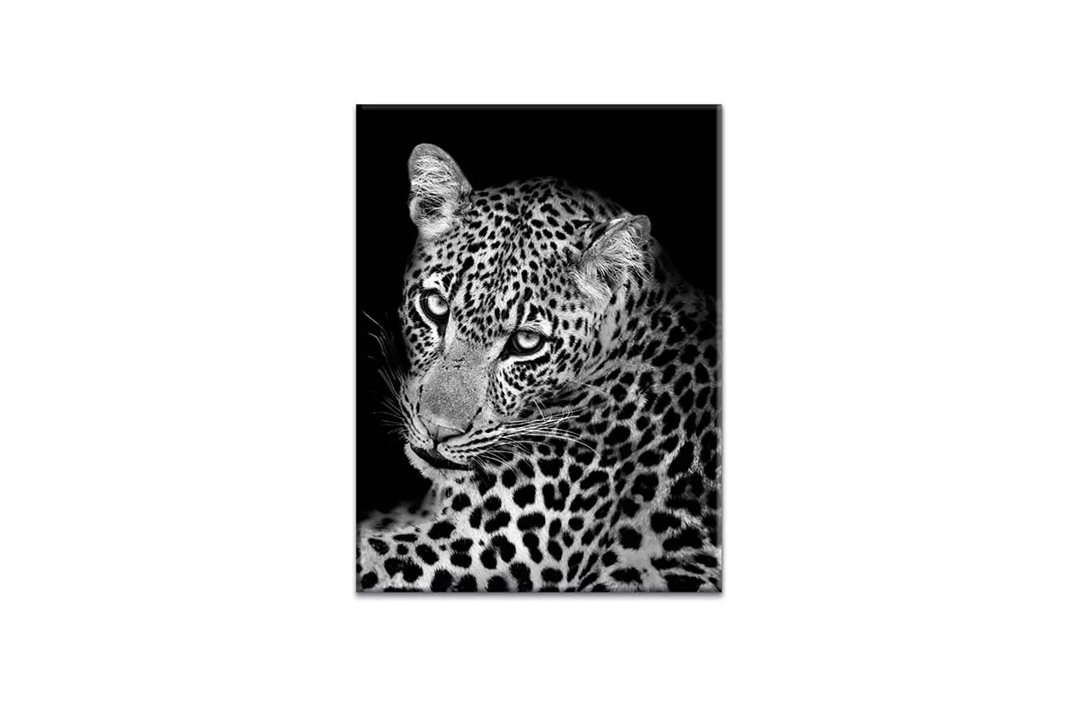 Cheetah Portrait | Animal Canvas Wall Art Print