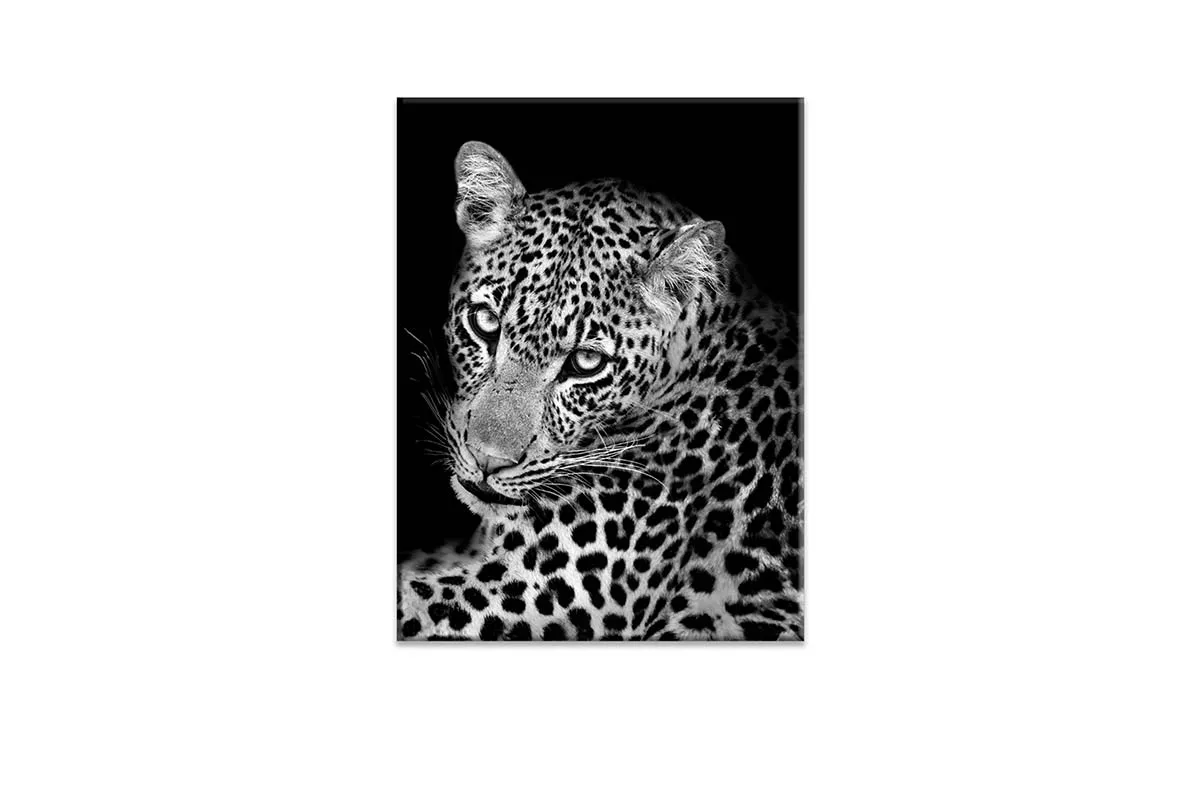 Cheetah Portrait | Animal Canvas Wall Art Print