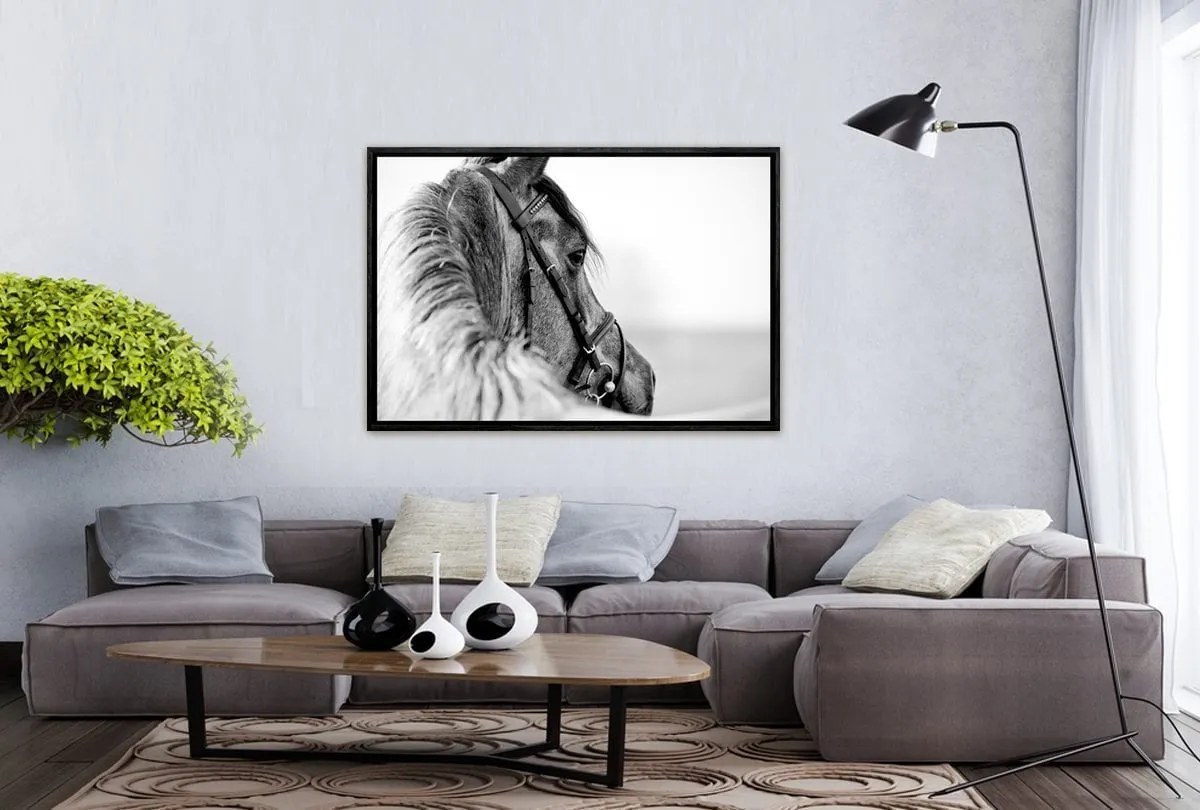 Horse | Canvas Wall Art Decor