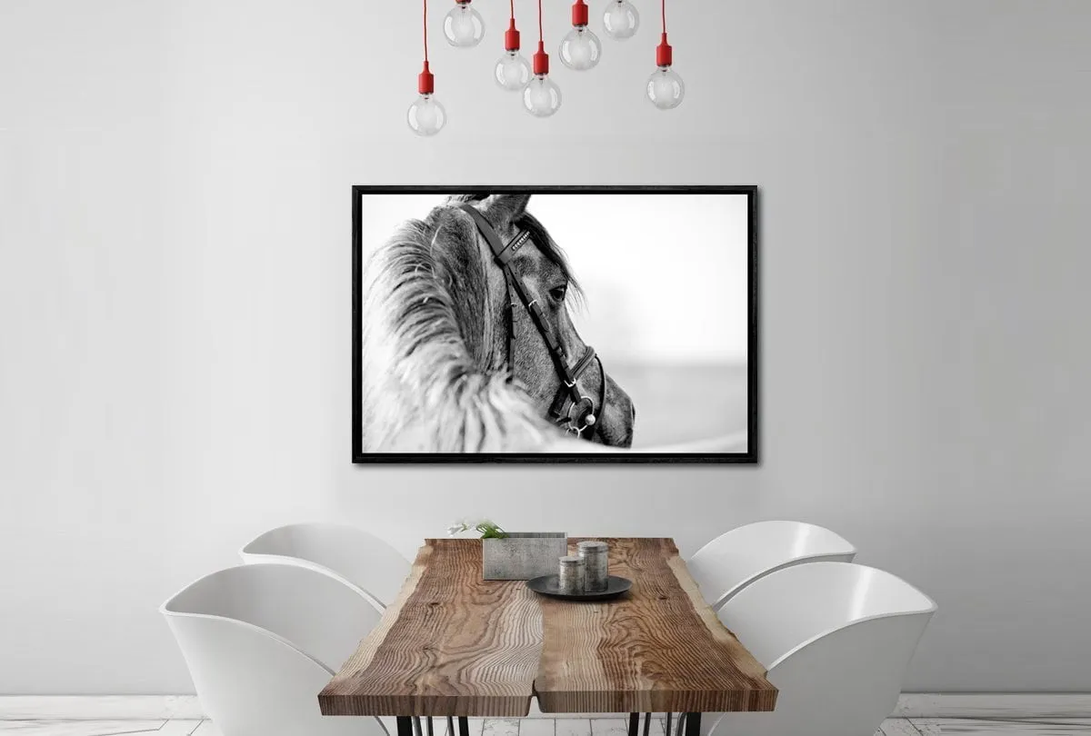 Horse | Canvas Wall Art Decor