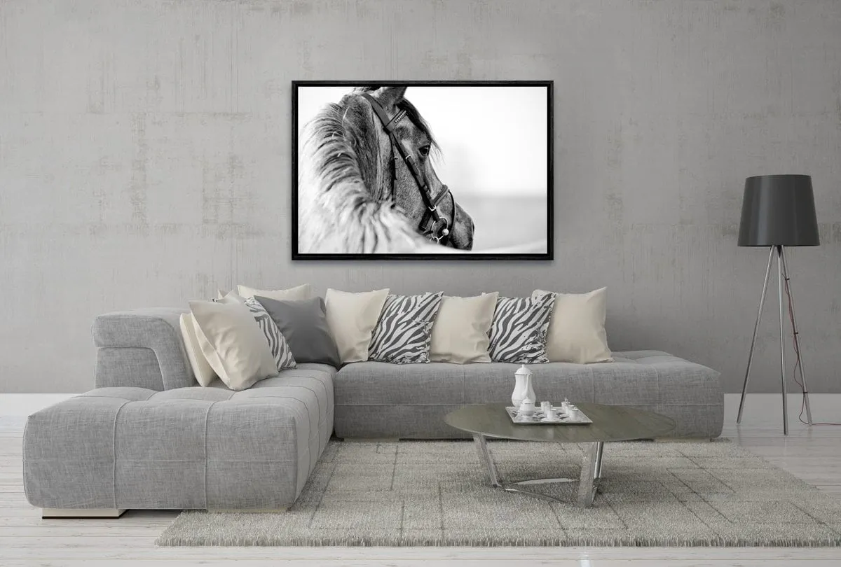 Horse | Canvas Wall Art Decor