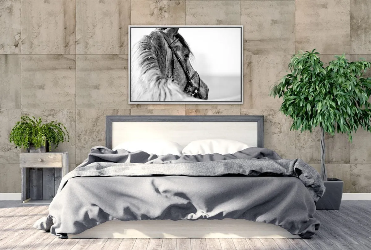 Horse | Canvas Wall Art Decor