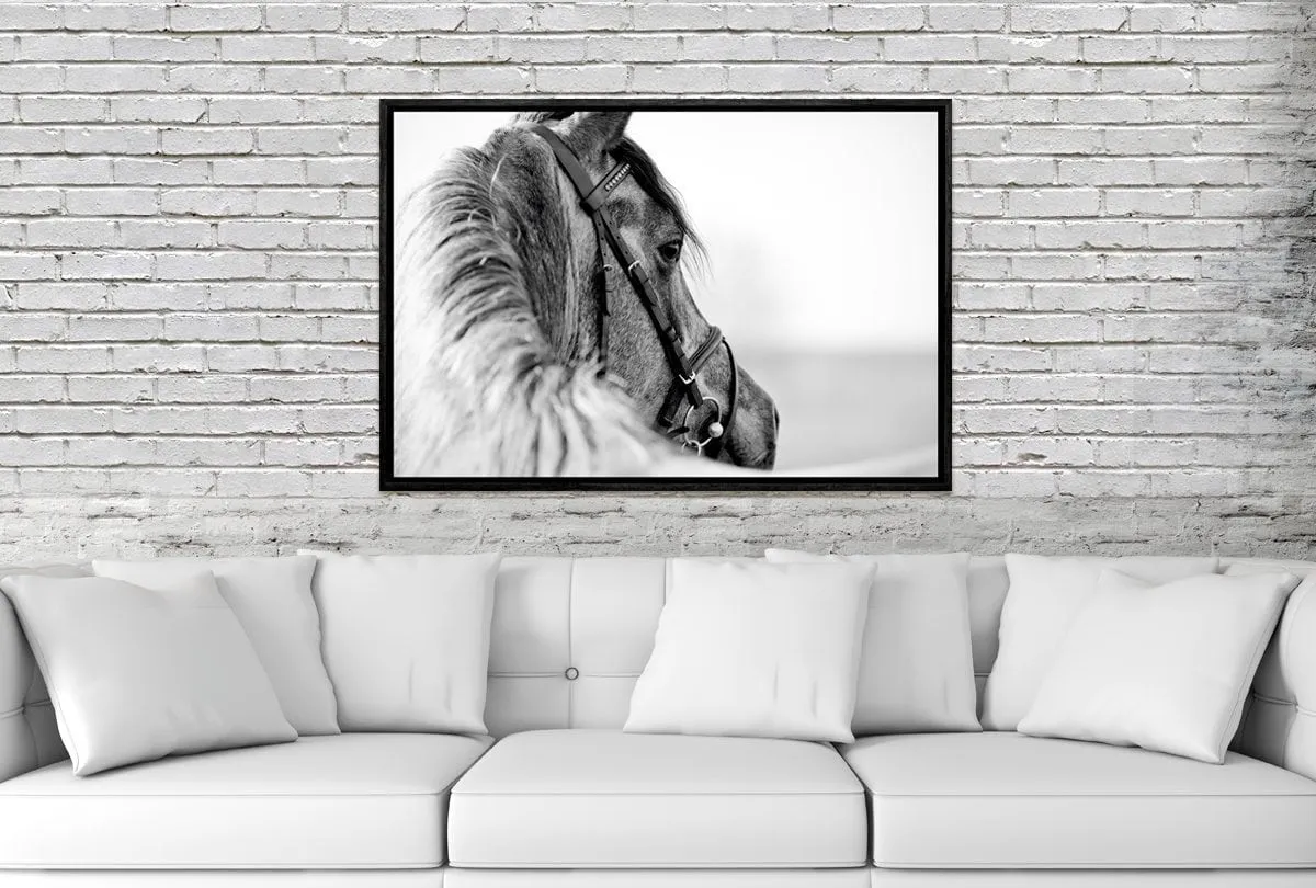 Horse | Canvas Wall Art Decor