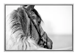 Horse | Canvas Wall Art Decor
