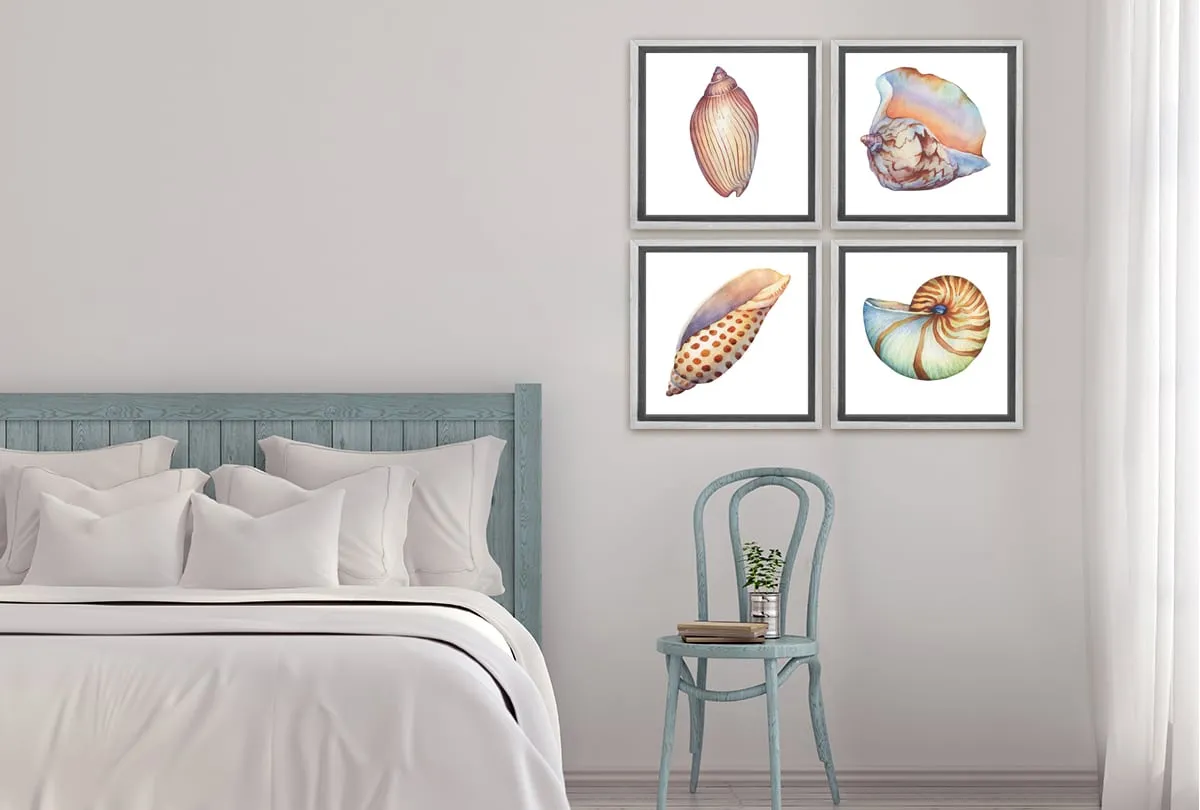 Junonia Sea Shell | Canvas Wall Art Print