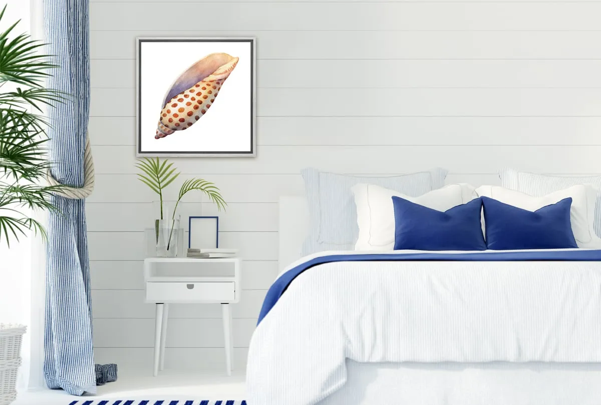 Junonia Sea Shell | Canvas Wall Art Print