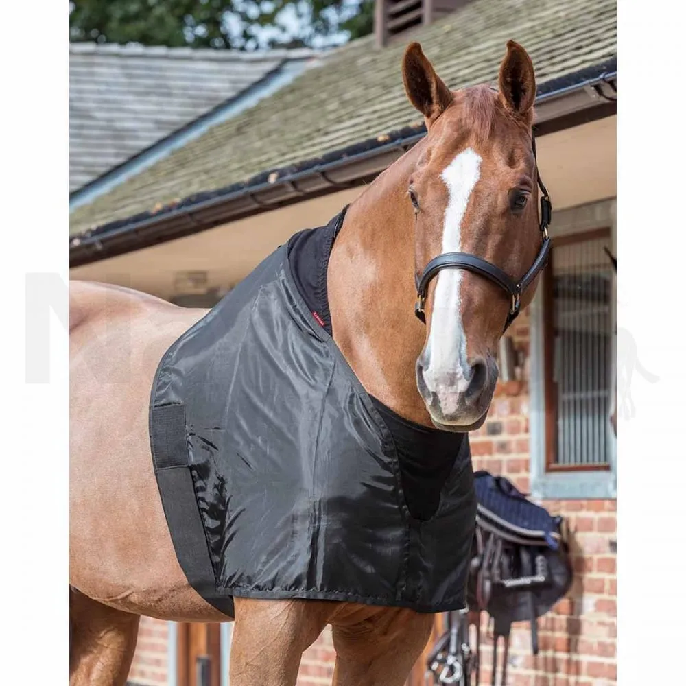 LeMieux Anti Rub Bib
