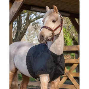 LeMieux Anti Rub Bib