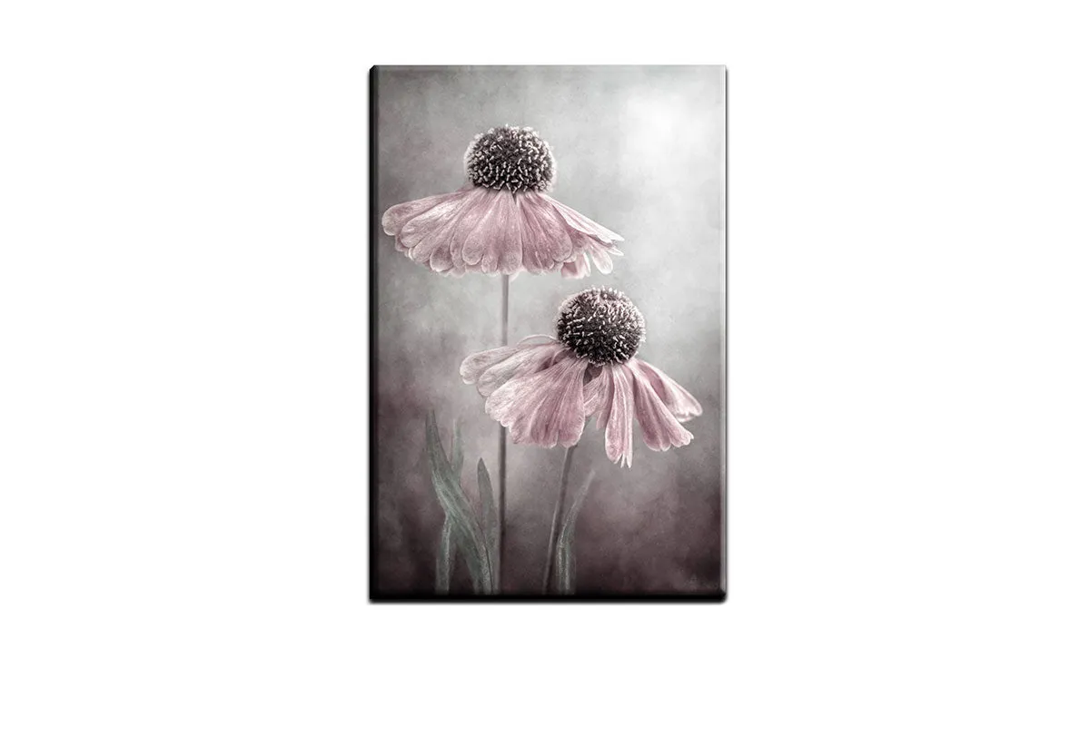 Lilac Cone Flower | Flower Wall Art Print