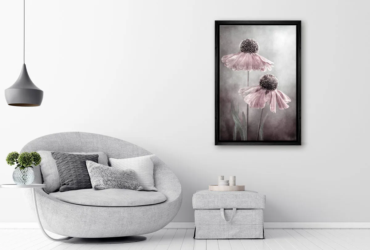 Lilac Cone Flower | Flower Wall Art Print
