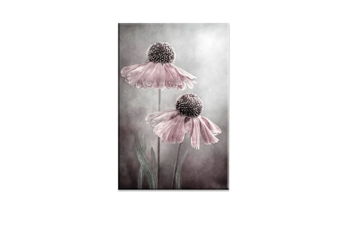 Lilac Cone Flower | Flower Wall Art Print
