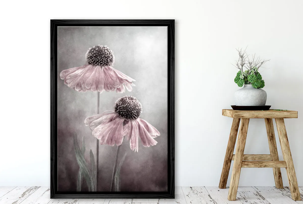 Lilac Cone Flower | Flower Wall Art Print