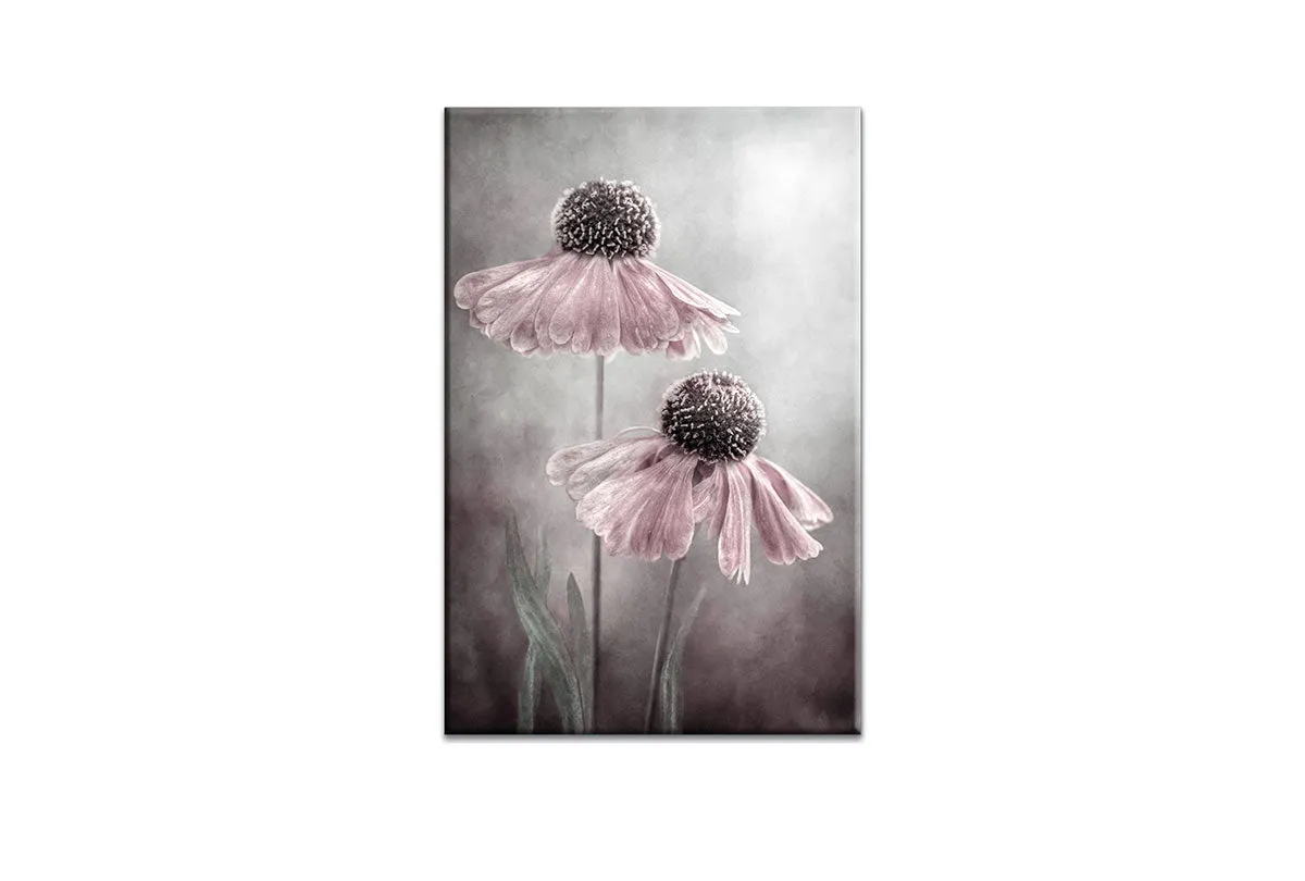 Lilac Cone Flower | Flower Wall Art Print