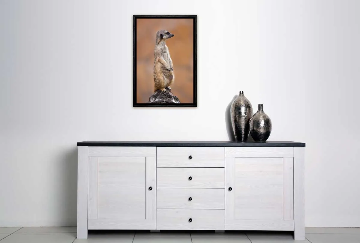 Meerkat | Canvas Wall Art Print