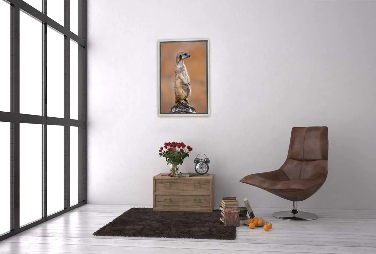 Meerkat | Canvas Wall Art Print