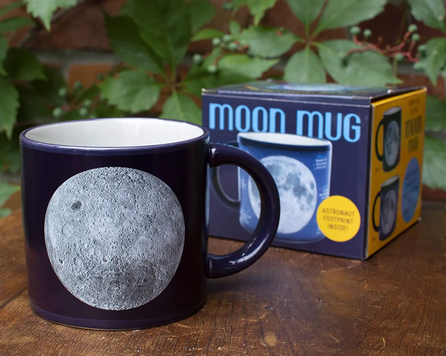 Moon Mug