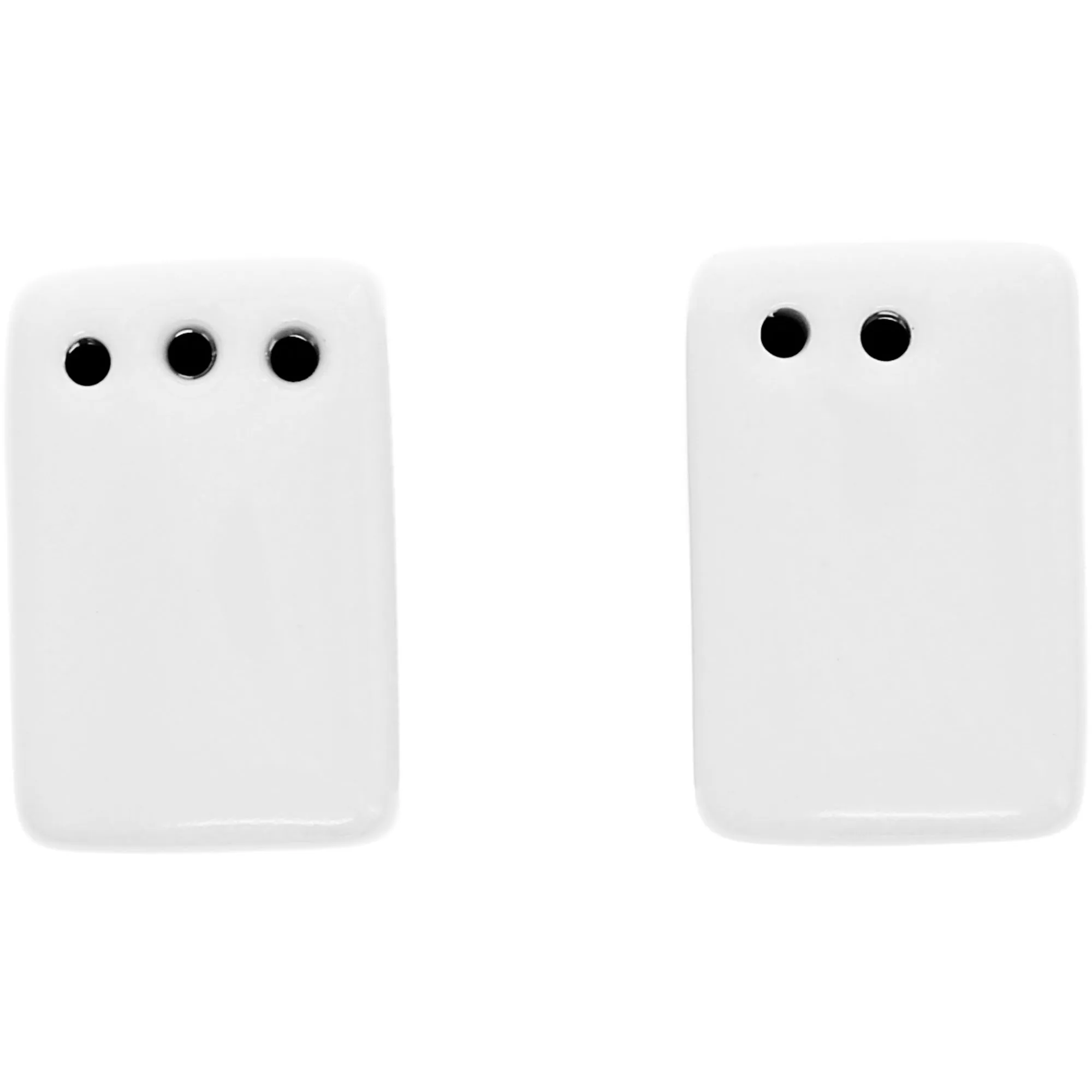 My Roost Salt & Pepper Shaker Set