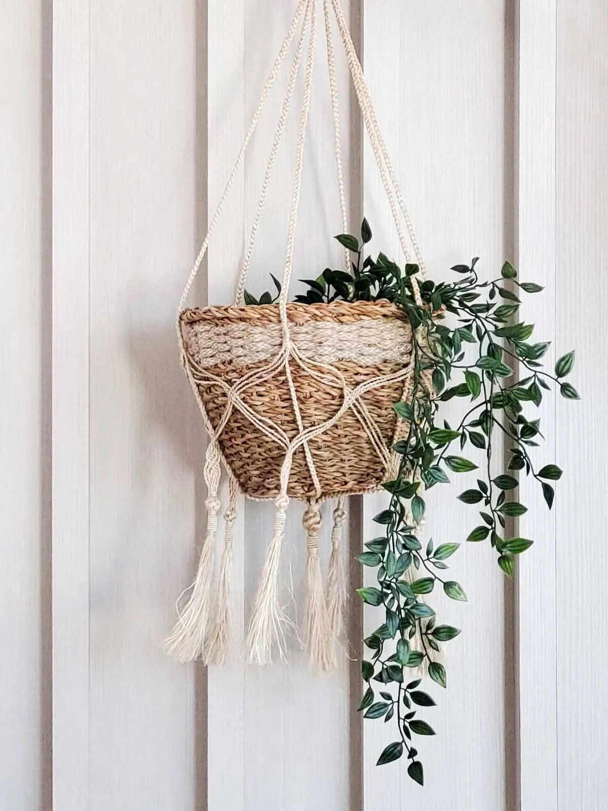 Plant Hanger - Bitan (Set Of 2)