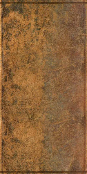 Rug Leather