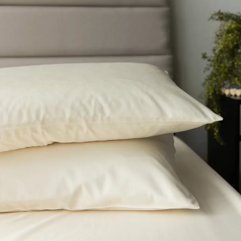 Sheet Set, Pillow, and Mattress Protector Bundle, DreamComfort™ Collection