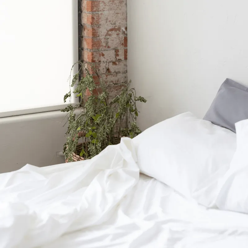 Sheet Set, Pillow, and Mattress Protector Bundle, DreamComfort™ Collection