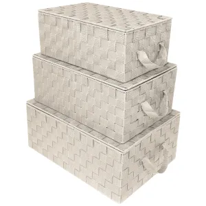 Storage Woven Basket with Lid (3 Pack)