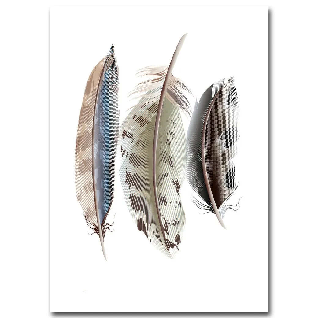 Watercolor Feathers Poster