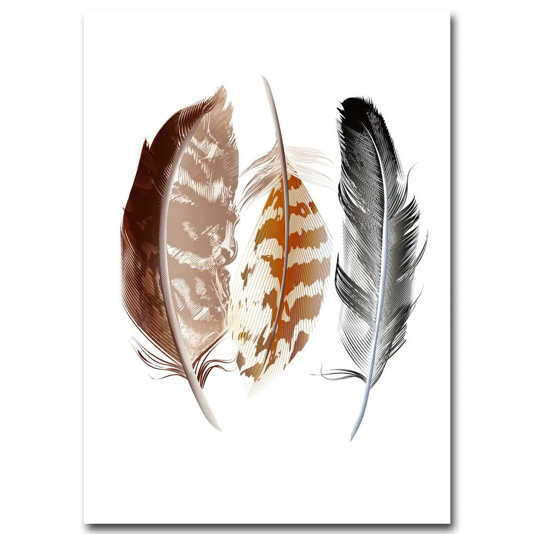 Watercolor Feathers Poster
