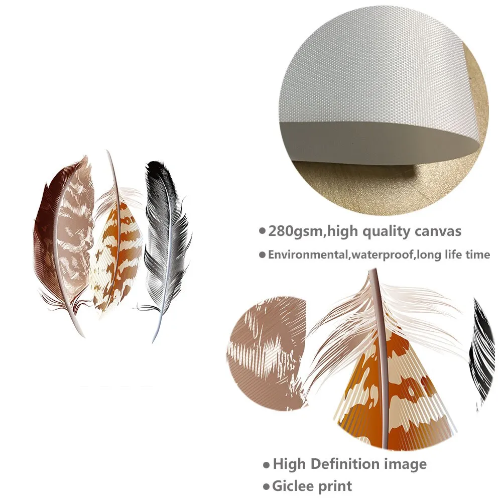 Watercolor Feathers Poster